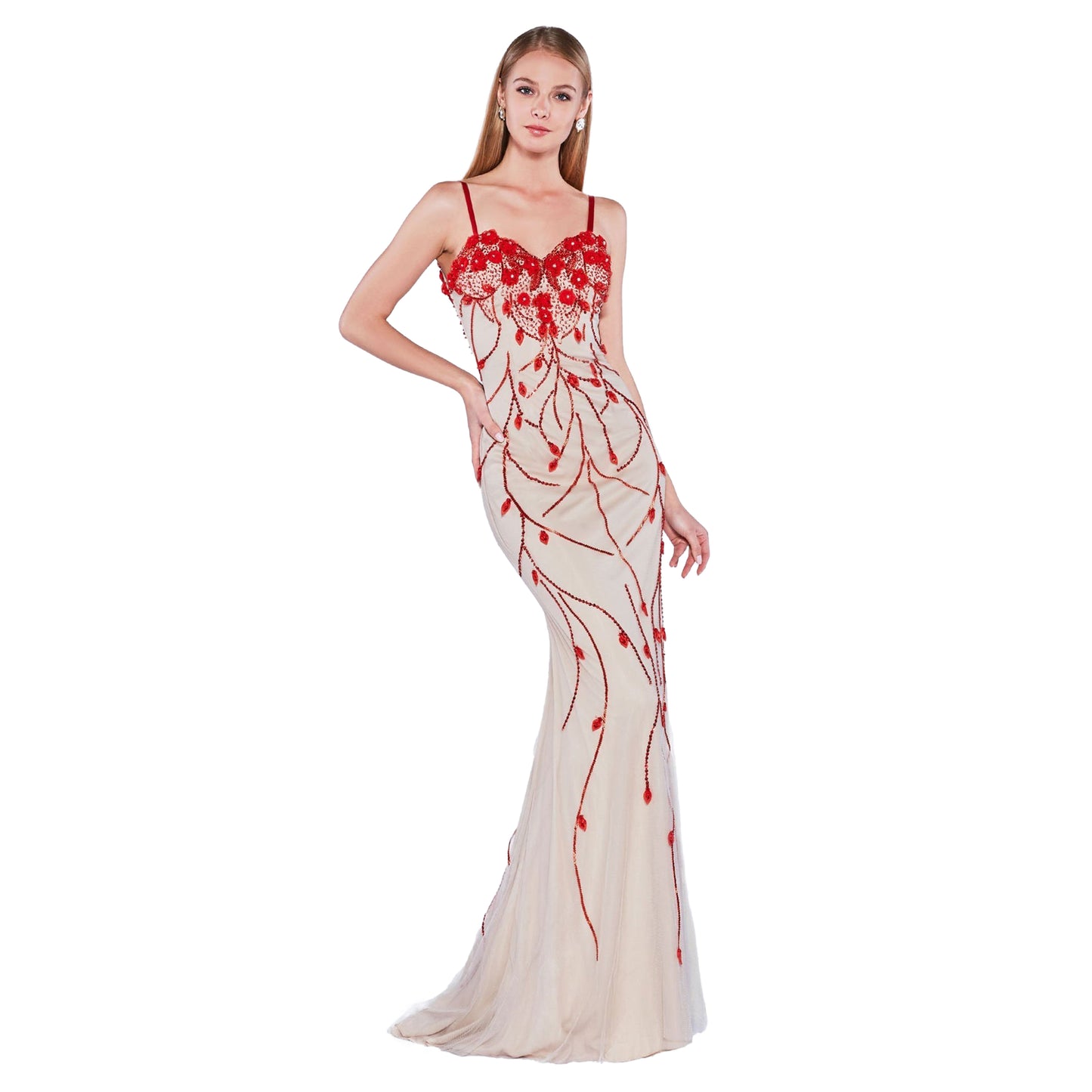 CINDERELLA DIVINE DRESS