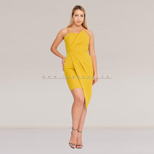 Oriole Mini Dress
